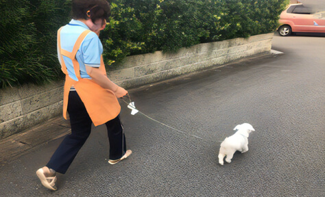 たすけあい事業